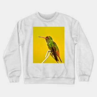 oli green Hummingbird lll Crewneck Sweatshirt